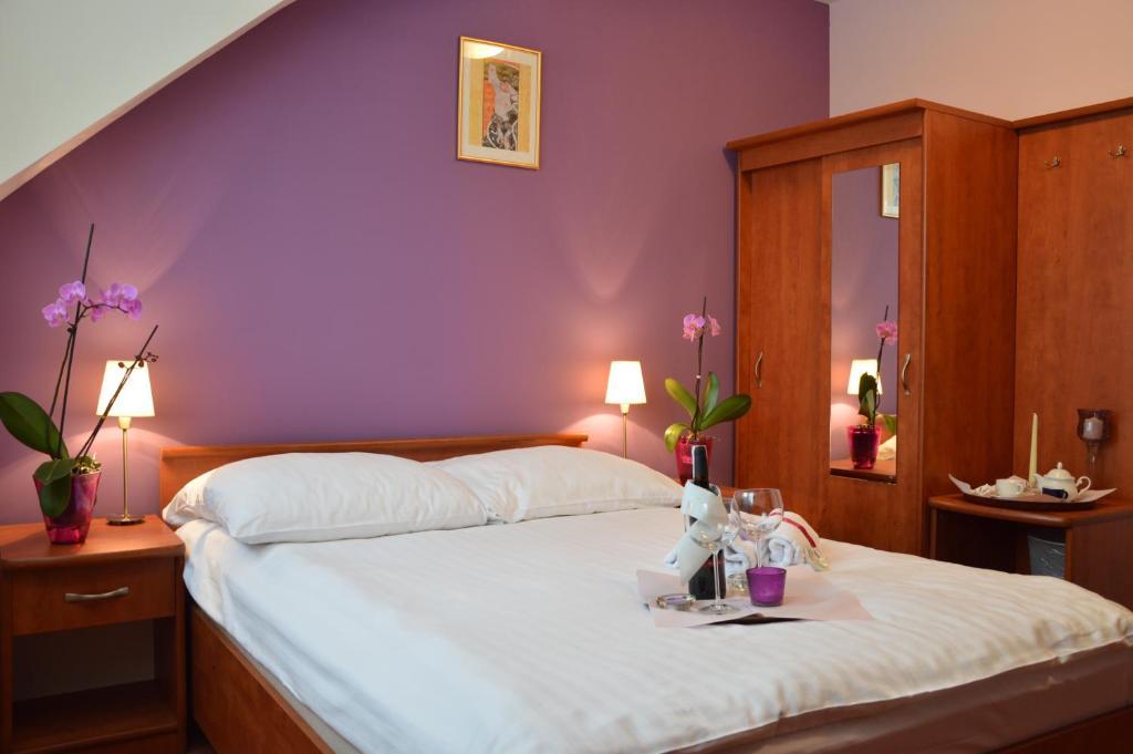 Hotel Vistula 克拉科夫 客房 照片
